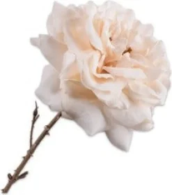 Silk-ka kunstbloem Roos Crème H 76 cm