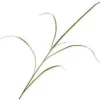 Silk-ka kunstbloem Siergras bruin H 130 cm