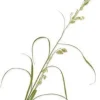Silk-ka kunstbloem Siergras groen H 162 cm