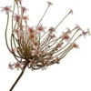 Silk-ka kunstbloem Sierui wit H 84 cm