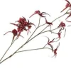 Silk-ka kunstbloem Spinorchidee rood H 30 cm