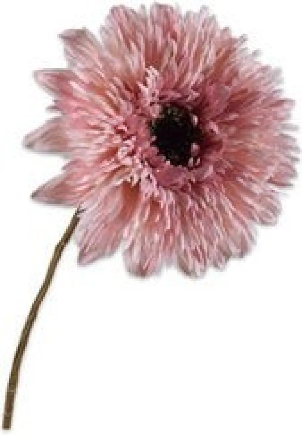 Silk-ka kunstbloem Zonnebloem roze H 71 cm