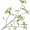 Silk-ka kunsttak Bladtak H 148 cm