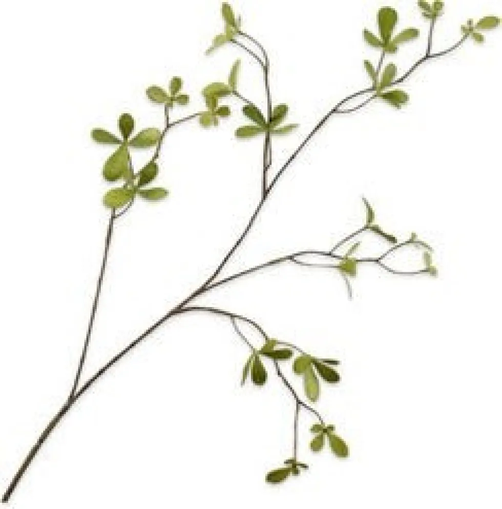 Silk-ka kunsttak Bucida H 77 cm