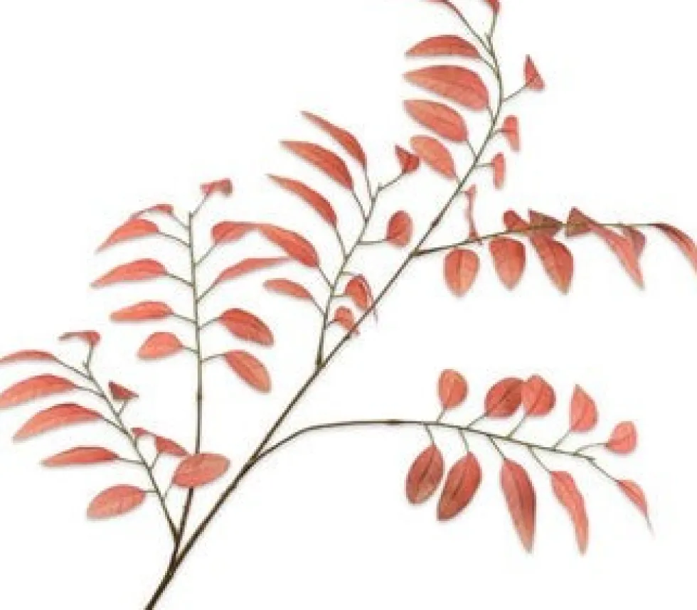 Silk-ka kunsttak Es bruin H 107 cm