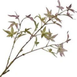 Silk-ka kunsttak Esdoorn groen / rood H 30 cm