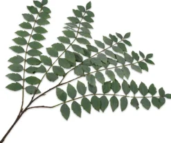 Silk-ka kunsttak Es groen H 138 cm