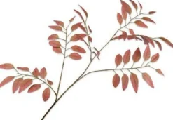 Silk-ka kunsttak Es rood H 107 cm