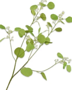 Silk-ka kunsttak Eucalyptus groen H 84 cm