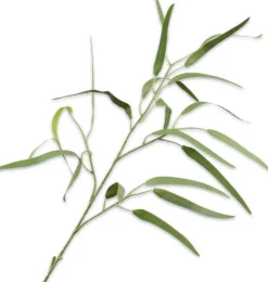 Silk-ka kunsttak Eucalyptus H 86 cm