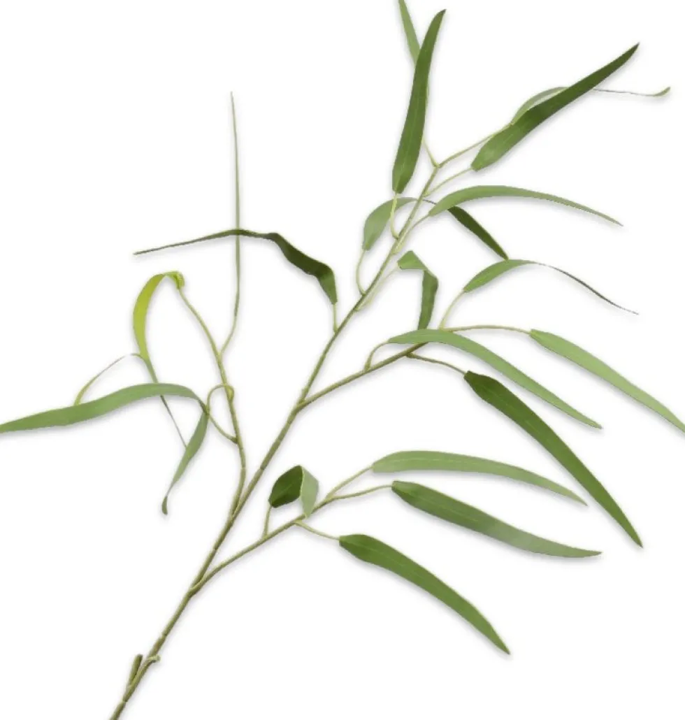 Silk-ka kunsttak Eucalyptus H 86 cm