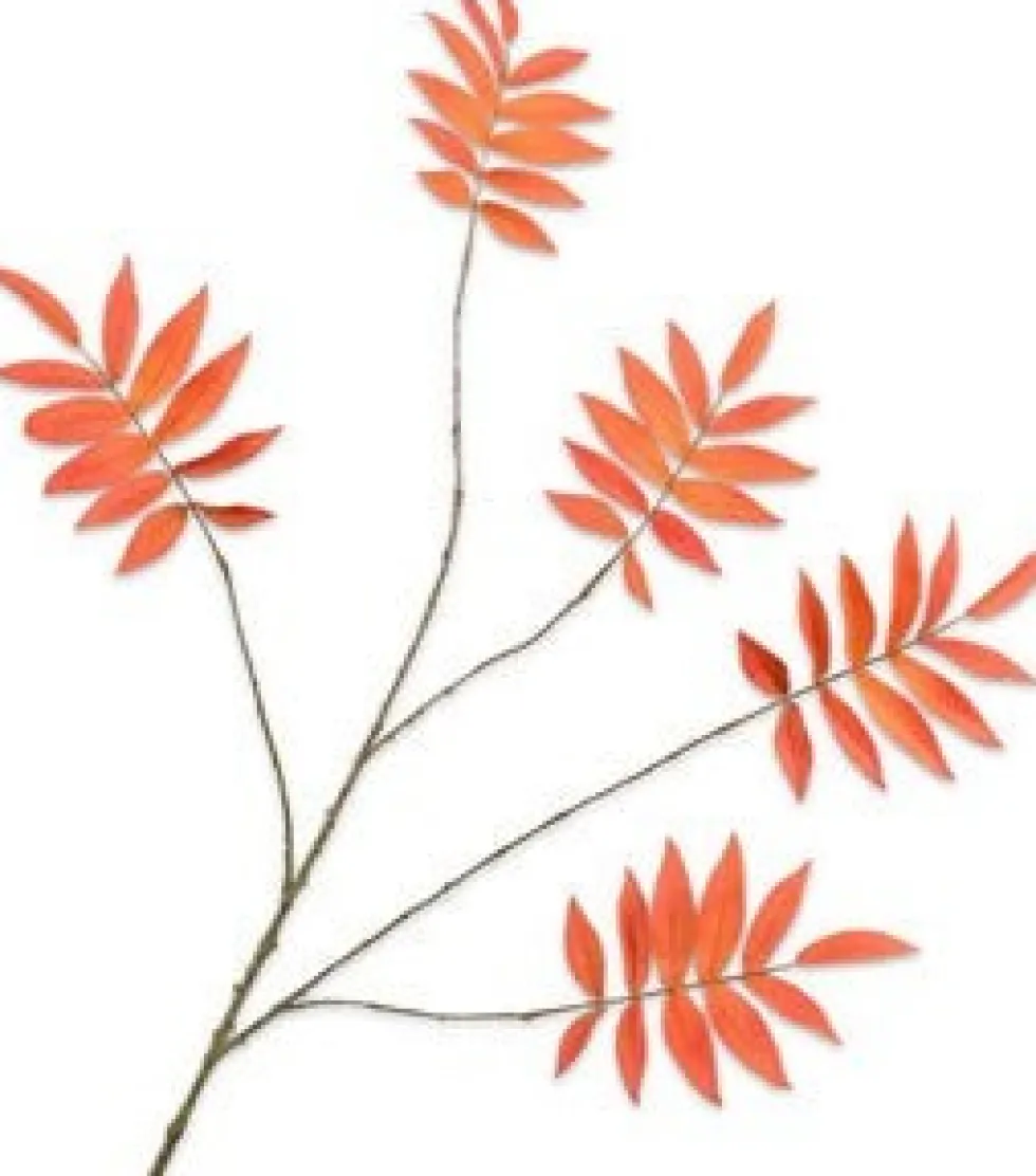 Silk-ka kunsttak Fluweelboom geel H 103 cm