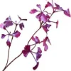 Silk-ka kunsttak Ginkgo paars H 66 cm