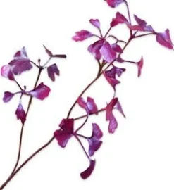 Silk-ka kunsttak Ginkgo paars H 66 cm