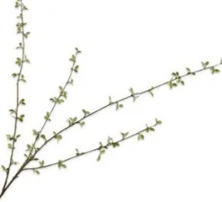 Silk-ka kunsttak Krentenboompje H 122 cm