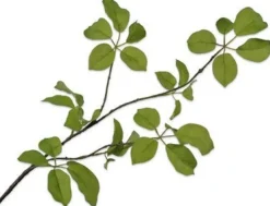 Silk-ka kunsttak Wilde Wingerd H 91 cm