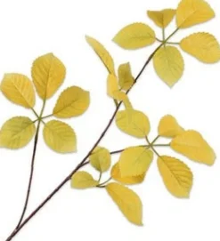 Silk-ka kunsttak Wilde Wingerd geelgroen H 74 cm