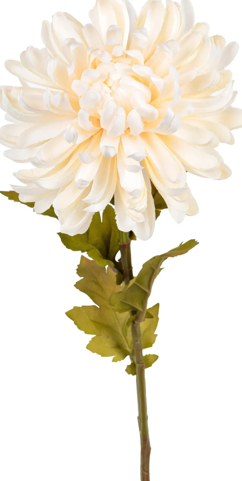 Tina kunstbloem Chrysant wit H 60 cm