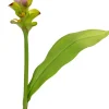 Tina kunstbloem Curcuma roze H 75 cm