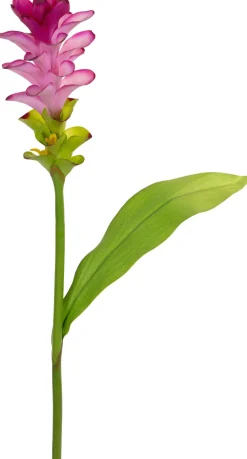 Tina kunstbloem Curcuma roze H 75 cm