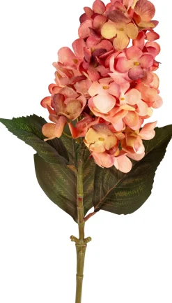 Tina kunstbloem Pluimhortensia roze / geel H 70 cm