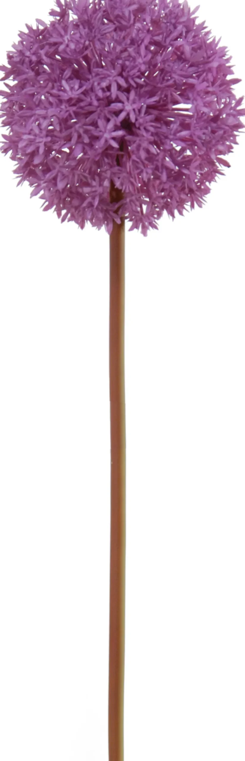 Tina kunstbloem Sierui paars H 80 cm