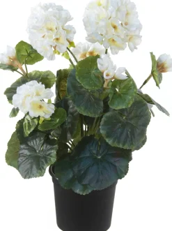 Tina kunstplant Geranium wit H 35 cm