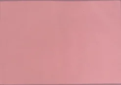 Unique Living placemat unique outdoor roze 33 x 48 x 0,5 cm