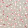 Unique Living placemat Zuurstok zilver 30 x 45 cm