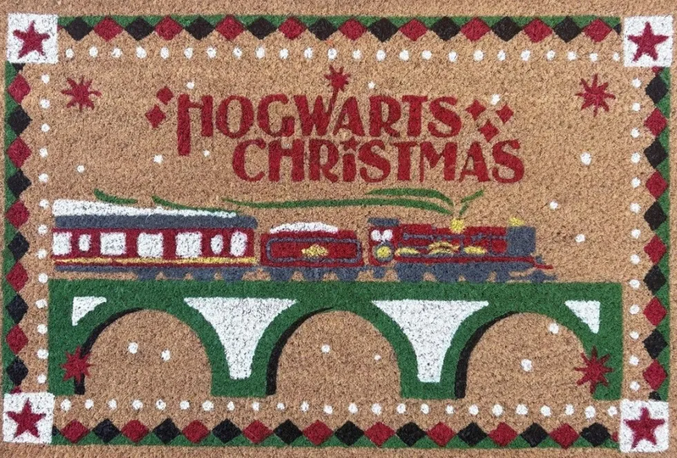Warner Bros kokosmat Harry Potter zweinstein express bruin 60 x 40 cm