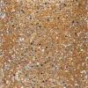 Waxinelichthouder Strass Lois goud D 8,5 H 8,5 cm